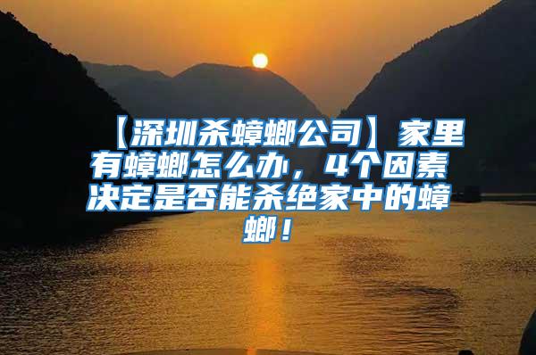 【深圳殺蟑螂公司】家里有蟑螂怎么辦,4個(gè)因素決定是否能殺絕家中的蟑螂!
