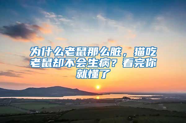 為什么老鼠那么臟,貓吃老鼠卻不會生病?看完你就懂了