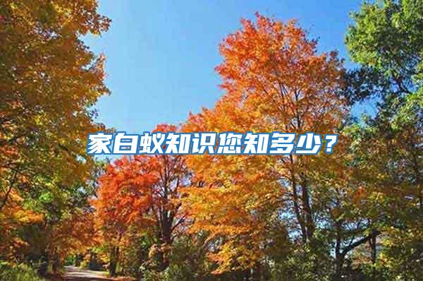 家白蟻知識您知多少?