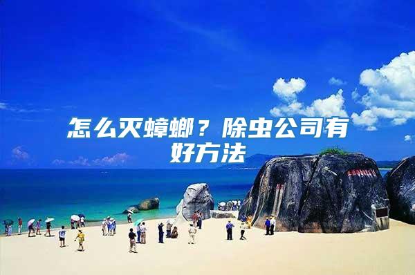 怎么滅蟑螂?除蟲(chóng)公司有好方法