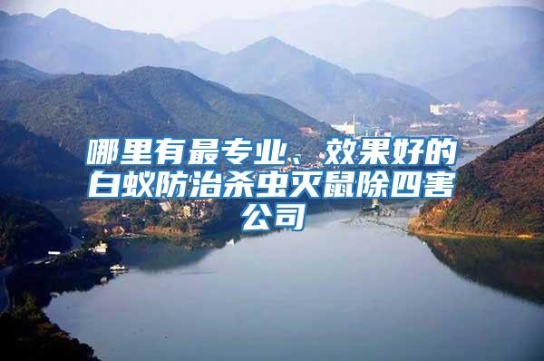 哪里有最專業(yè)、效果好的白蟻防治殺蟲滅鼠除四害公司