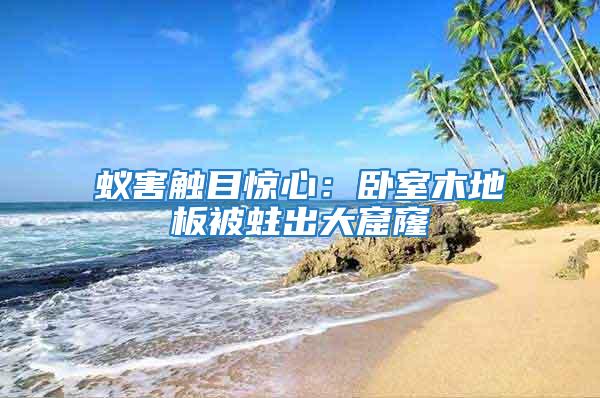 蟻害觸目驚心:臥室木地板被蛀出大窟窿