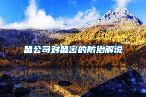 鼠公司對(duì)鼠害的防治解說