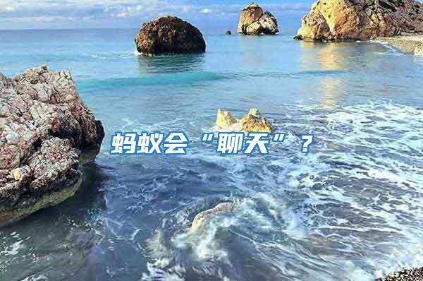 螞蟻會“聊天”?