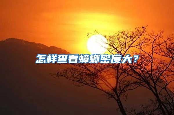 怎樣查看蟑螂密度大?