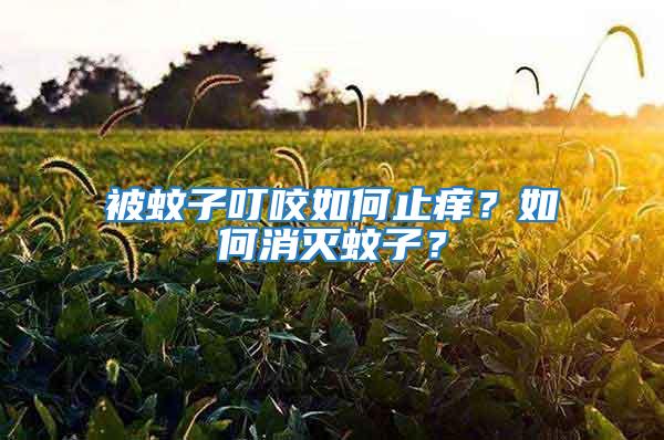 被蚊子叮咬如何止癢？如何消滅蚊子？