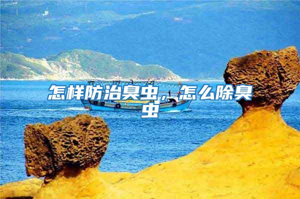 怎樣防治臭蟲,怎么除臭蟲