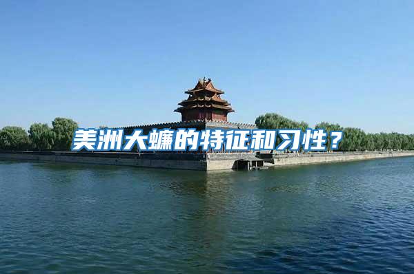 美洲大蠊的特征和習性?