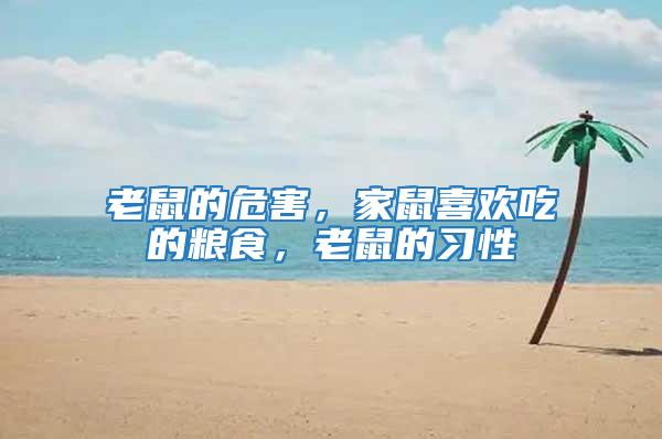 老鼠的危害,家鼠喜歡吃的糧食,老鼠的習性