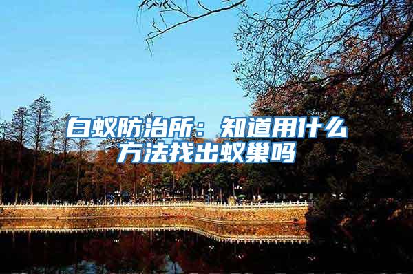 白蟻防治所:知道用什么方法找出蟻巢嗎