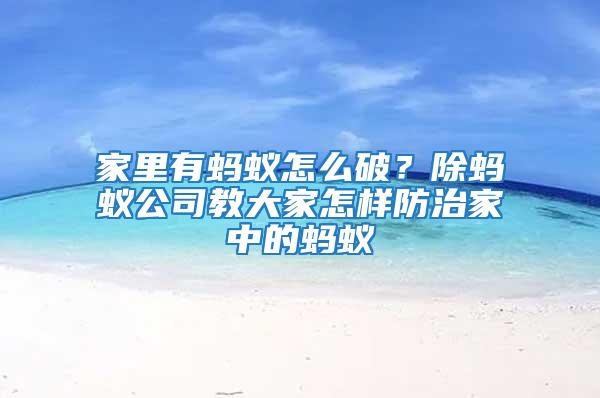 家里有螞蟻怎么破?除螞蟻公司教大家怎樣防治家中的螞蟻