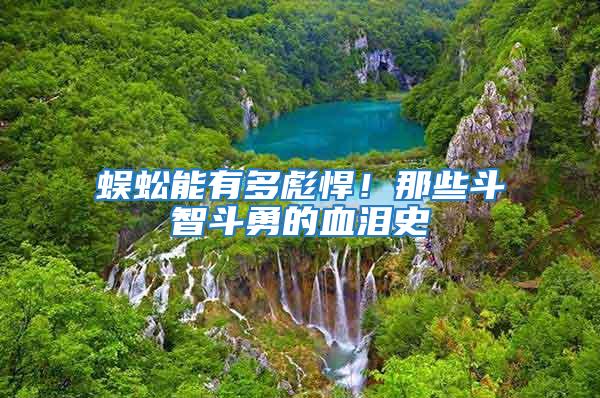 蜈蚣能有多彪悍！那些斗智斗勇的血淚史