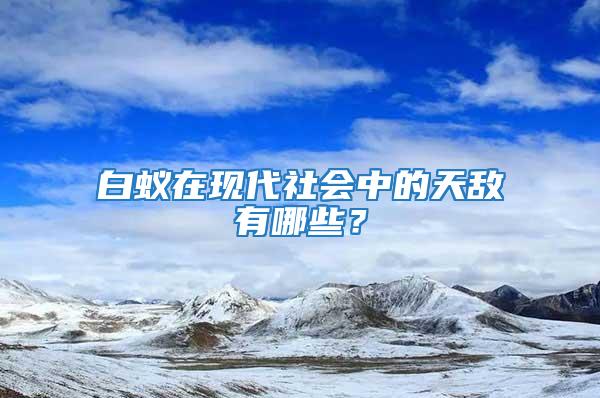 白蟻在現代社會中的天敵有哪些？