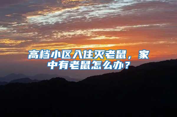 高檔小區入住滅老鼠，家中有老鼠怎么辦？