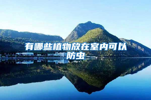 有哪些植物放在室內(nèi)可以防蟲