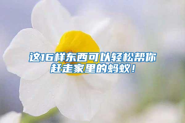 這16樣東西可以輕松幫你趕走家里的螞蟻!