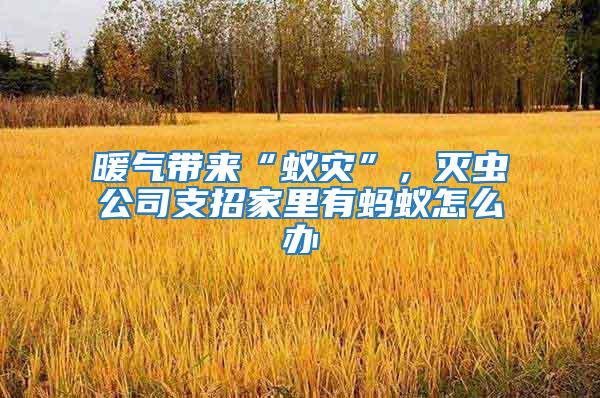 暖氣帶來“蟻災”,滅蟲公司支招家里有螞蟻怎么辦