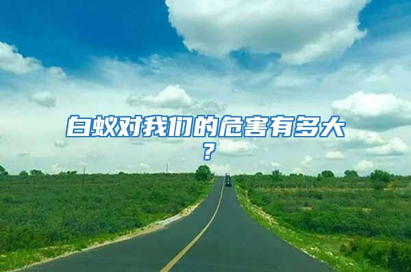 白蟻對我們的危害有多大？