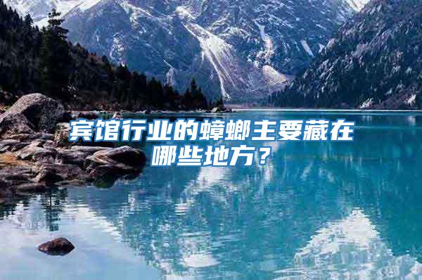 賓館行業的蟑螂主要藏在哪些地方?