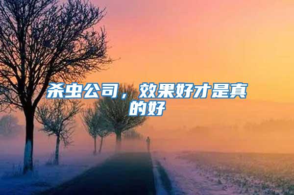 殺蟲公司,效果好才是真的好
