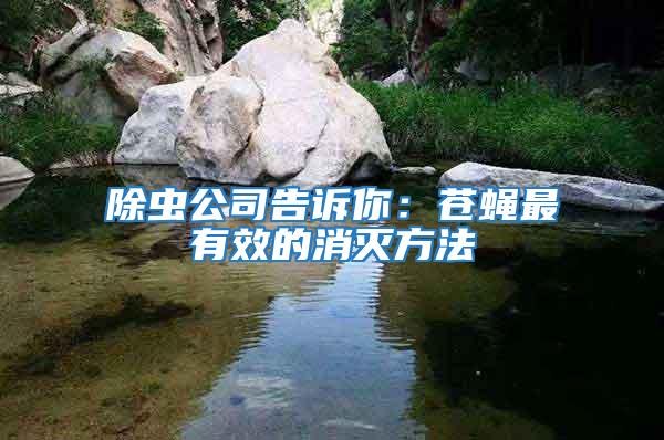 除蟲公司告訴你:蒼蠅最有效的消滅方法