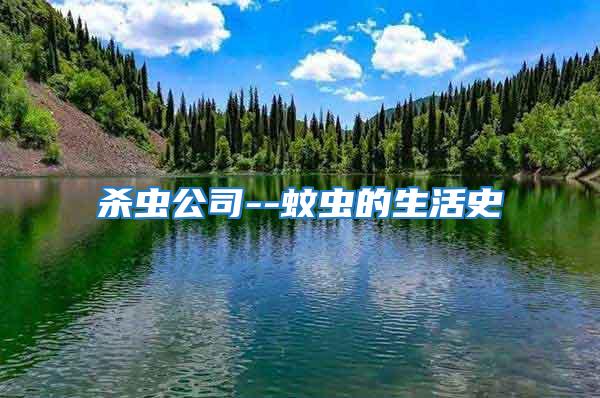 殺蟲(chóng)公司--蚊蟲(chóng)的生活史