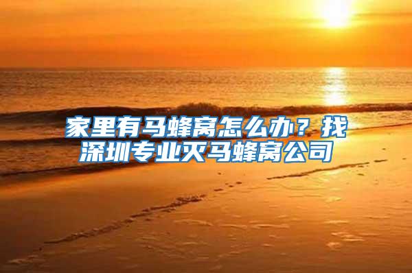家里有馬蜂窩怎么辦？找深圳專業(yè)滅馬蜂窩公司