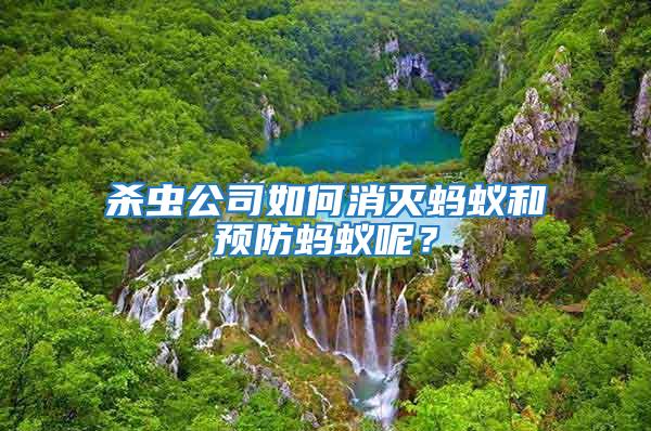 殺蟲公司如何消滅螞蟻和預防螞蟻呢?