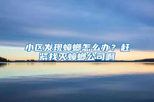 小區(qū)發(fā)現(xiàn)蟑螂怎么辦?趕緊找滅蟑螂公司啊