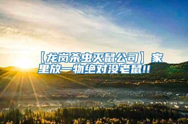 【龍崗殺蟲滅鼠公司】家里放一物絕對(duì)沒老鼠!!
