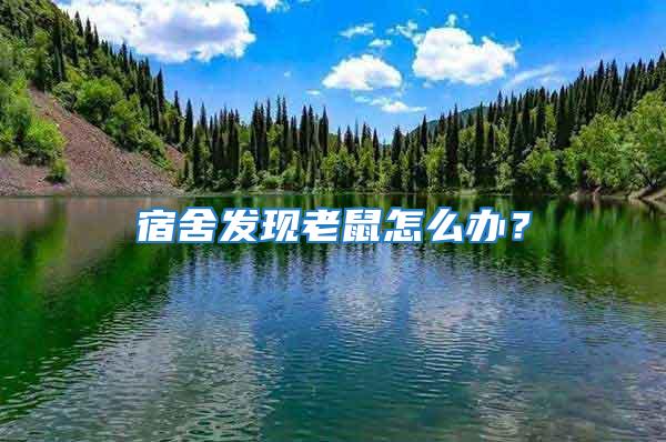 宿舍發現老鼠怎么辦?