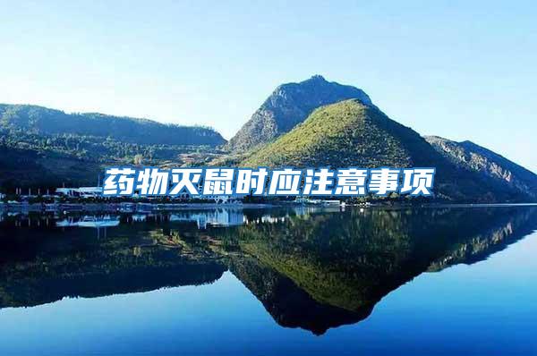 藥物滅鼠時(shí)應(yīng)注意事項(xiàng)
