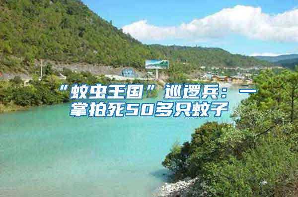 “蚊蟲王國”巡邏兵:一掌拍死50多只蚊子