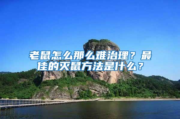 老鼠怎么那么難治理？最佳的滅鼠方法是什么？