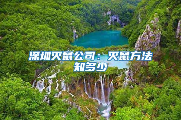 深圳滅鼠公司:滅鼠方法知多少