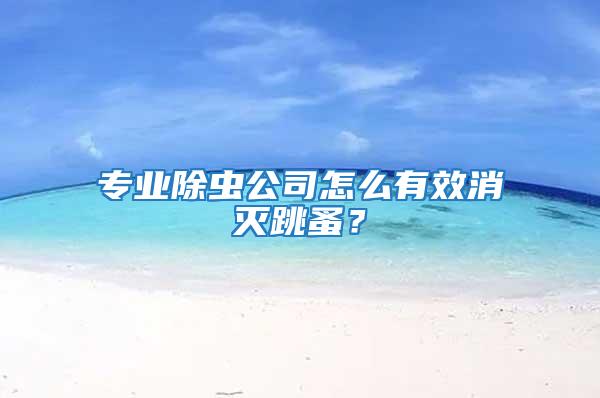 專業除蟲公司怎么有效消滅跳蚤?