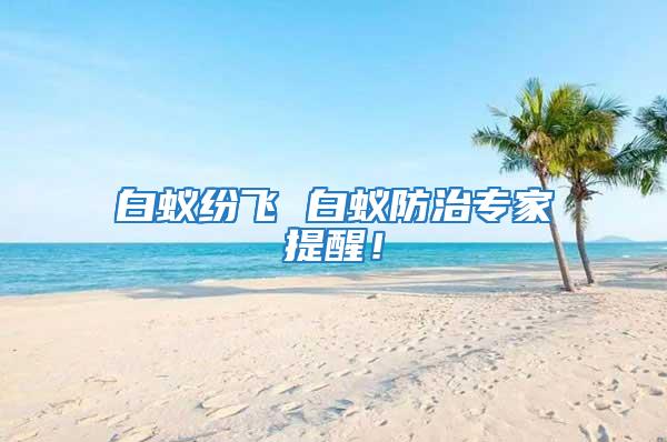白蟻紛飛 白蟻防治專家提醒！
