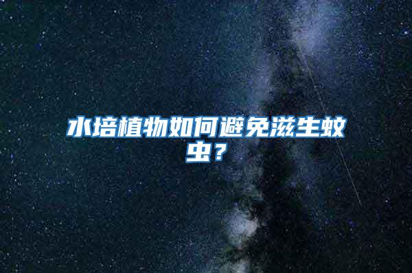 水培植物如何避免滋生蚊蟲?