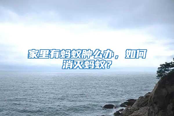家里有螞蟻腫么辦,如何消滅螞蟻?