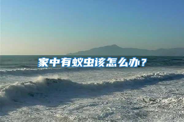 家中有蟻蟲該怎么辦?