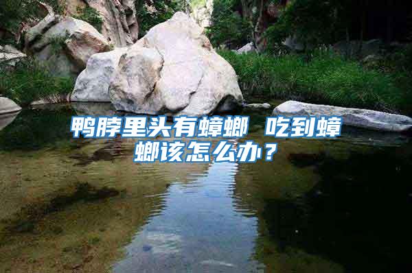 鴨脖里頭有蟑螂 吃到蟑螂該怎么辦?