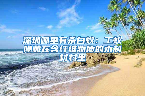 深圳哪里有殺白蟻:工蟻隱藏在含纖維物質的木制材料里