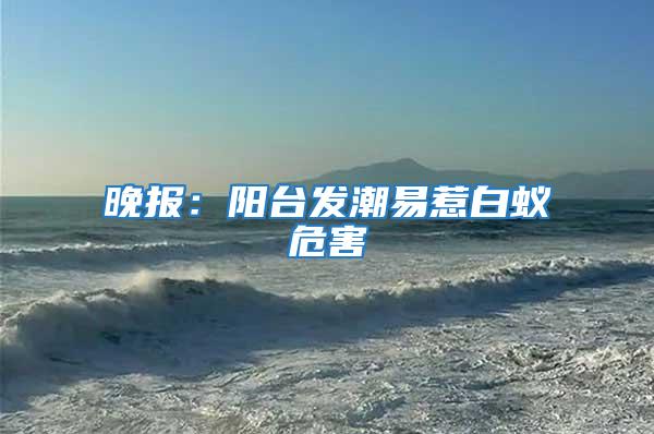 晚報:陽臺發潮易惹白蟻危害