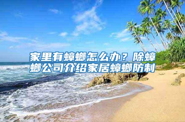 家里有蟑螂怎么辦?除蟑螂公司介紹家居蟑螂防制