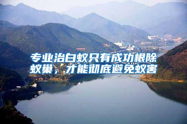 專業治白蟻只有成功根除蟻巢,才能徹底避免蟻害