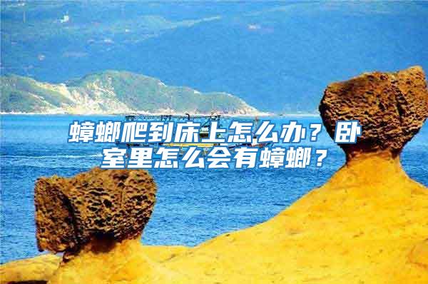 蟑螂爬到床上怎么辦?臥室里怎么會有蟑螂?
