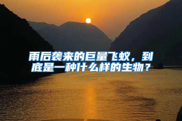 雨后襲來的巨量飛蟻,到底是一種什么樣的生物?
