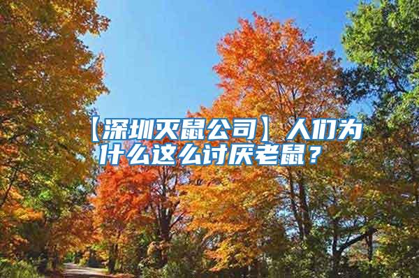 【深圳滅鼠公司】人們?yōu)槭裁催@么討厭老鼠?