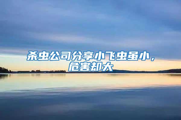 殺蟲公司分享小飛蟲雖小，危害卻大
