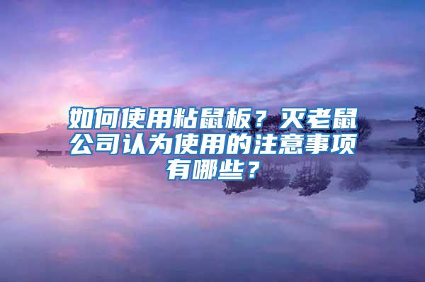 如何使用粘鼠板？滅老鼠公司認為使用的注意事項有哪些？